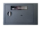 ���� SAFETRONICS NT&nbsp;24ME